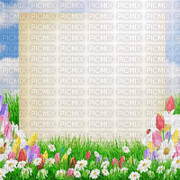 Y.A.M._Spring background - безплатен png