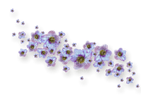 Flower Deco - darmowe png
