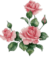 pink roses - gratis png