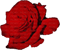 Olfa.belle.rose - Free animated GIF