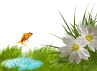 Deco, Grass, Flower, Flowers, Water, Pond, Goldfish, Fish, White, Green, Blue, Aqua - Jitter.Bug.Girl - Free PNG