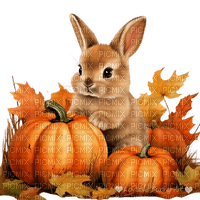 loly33 lapin automne citrouille - Free PNG