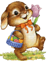 Easter Bunny - Zdarma animovaný GIF
