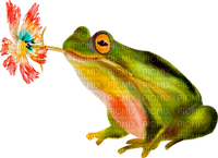 soave deco frog flowers  pink green orange - PNG gratuit