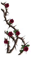 rose gothique.Cheyenne63 - Free PNG