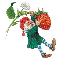 Strawberry Gnome - Bogusia - png ฟรี