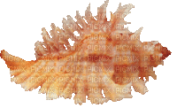 shellfish deco - GIF animado grátis