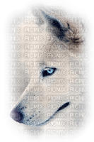 Picmix2018 - nemokama png