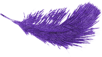 purple feather 2 - nemokama png