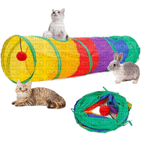 Kaz_Creations Cat Cats - png gratis