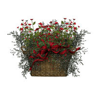 Bloemen en Planten - ücretsiz png