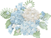 Hortensia Bb2 - Free PNG
