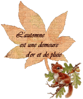 écureuil - Безплатен анимиран GIF