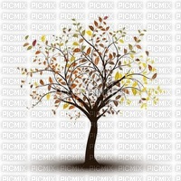arbre automne - bezmaksas png
