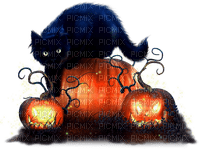 Cat.Jack.O.Lanterns.Black.Orange - Free PNG