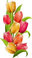 Kaz_Creations Deco Flowers Tulips Flower - png ฟรี