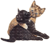 chaton bisous - GIF animé gratuit