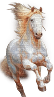 soave animals horse deco brown white - zdarma png