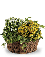 Kaz_Creations  Flowers Basket - 免费PNG
