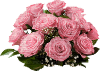 patymirabelle fleurs rose - PNG gratuit