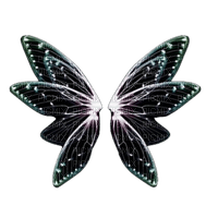 Fairy Wings - png gratuito
