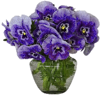 Vase of Purple Pansies