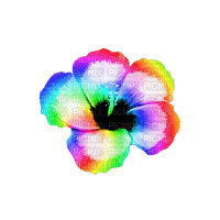 Tropical.Flower.Rainbow - PNG gratuit