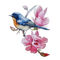 Птица на  цветке - безплатен png