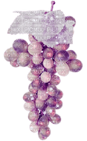 Kaz_Creations Deco Grapes Fruit Colours - png gratis
