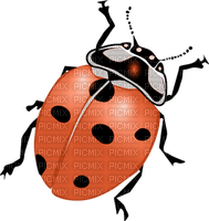 Kaz_Creations Ladybugs Ladybug - png ฟรี