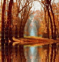 background animated forest lake - GIF animate gratis