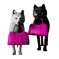 Wolf Quest - Gratis geanimeerde GIF