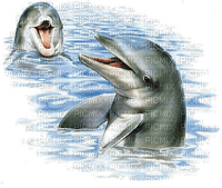 Kaz_Creations Paysage Scenery Dolphins - png gratis