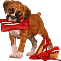 dog chien hund tube animal schuhe shoes chaussures - 免费PNG