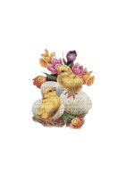 Chicken - PNG gratuit
