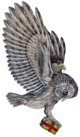 Kaz_Creations Owls Owl Birds Bird - фрее пнг