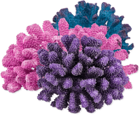 Coral-RM - Free PNG