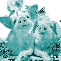Y.A.M._Summer pigs blue - 無料png