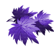 autumn purple leaves automne violet feuilles 🍁 - PNG gratuit