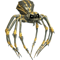 Spin - zadarmo png