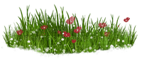 kikkapink deco grass flowers - 免费PNG