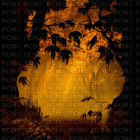 Fond.Halloween.Forêt.orange.Victoriabea - Free animated GIF