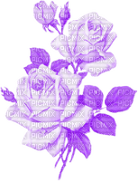 flowers roses - PNG gratuit
