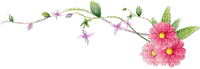 flowers - Безплатен анимиран GIF