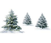 ✶ Christmas Trees {by Merishy} ✶ - PNG gratuit