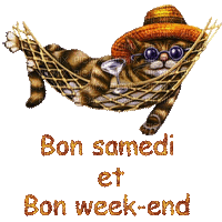 bon samedi et bon week-end cat chat glitter  letter text summer  gif  anime animated  ete - Darmowy animowany GIF