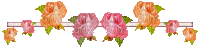 image encre animé barre effet scintillant briller coin fleurs roses printemps la nature ornement edited by me - 免费动画 GIF
