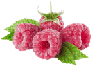Kaz_Creations Fruits