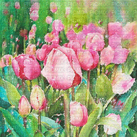 soave background animated flowers spring  tulips - Бесплатни анимирани ГИФ