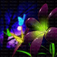 butterfly animated bg neon